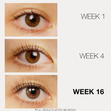 Load image into Gallery viewer, Lashfood phyto-medic eyelash enhancing serum before and after research result in 1 week, 4 weeks and 16 weeks
